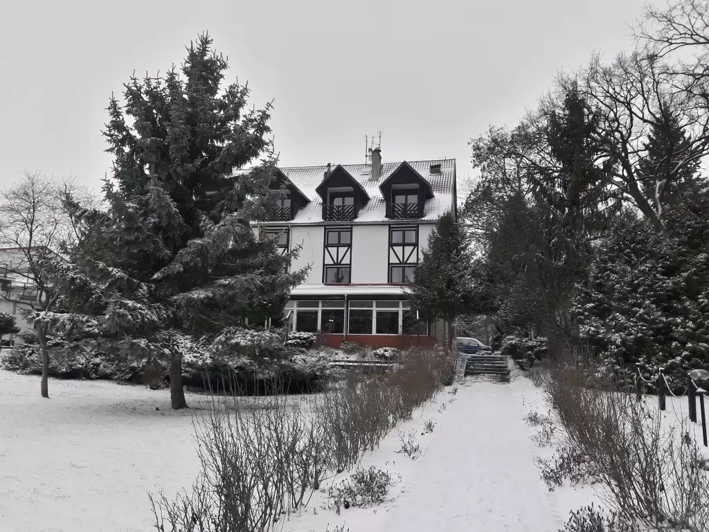 5. Hotel Star Dadaj*** - Oferta świąteczna