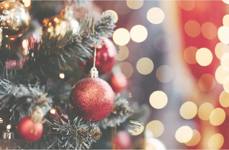 7. Hotel Aurora Family & SPA**** - Wigilijny zestaw dla firm