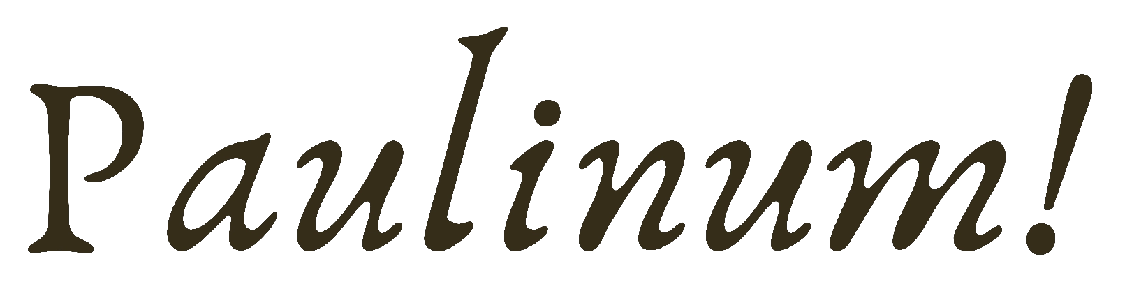 Logo Pałac Paulinum***