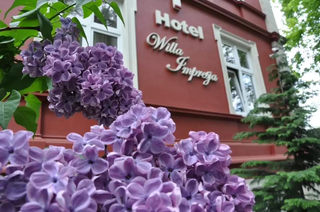 Willa Impresja**
