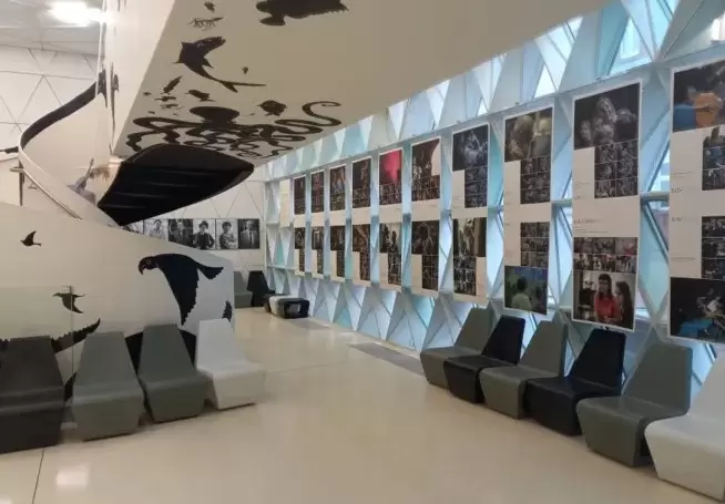 Opolski Teatr Lalki i Aktora