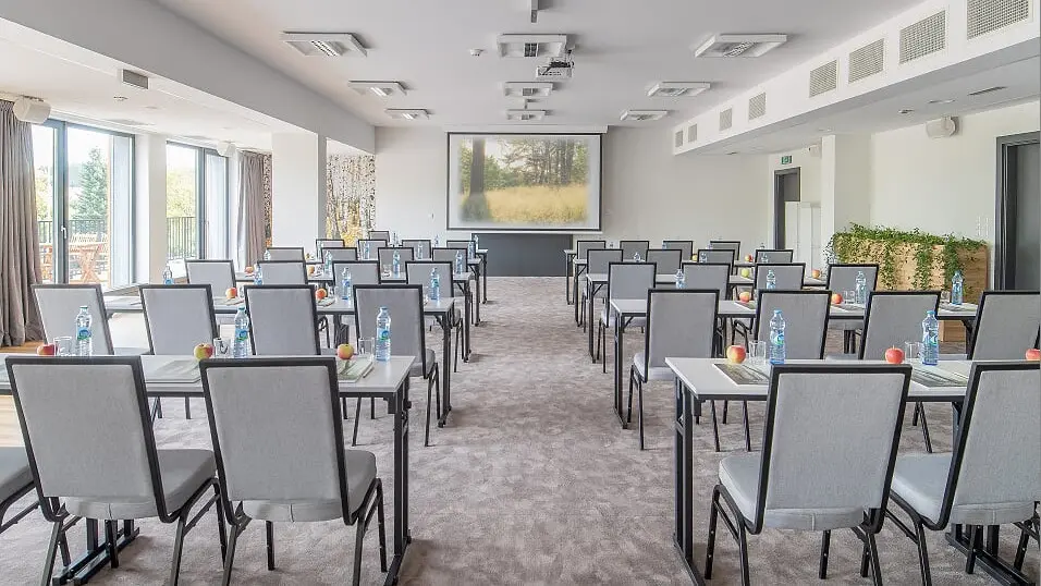 Zdjęcie sali Sala Brzozowa